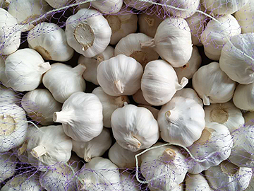 White garlic 10kgs ctn