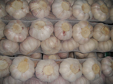 Braided garlic