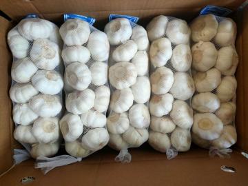White garlic 1KG