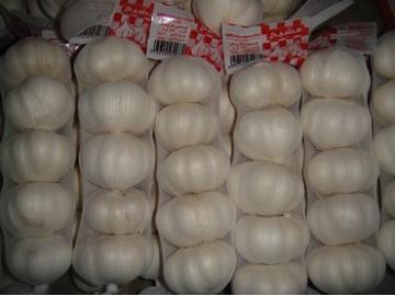 White garlic 5PCS